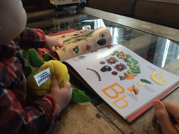 stage-1-educational-subscription-box-mother-reading-to-child