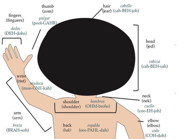 learn-spanish-with-educational-childrens-flashcards